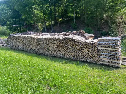 Birkenholz zu verkaufen