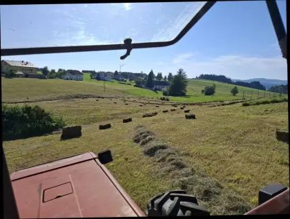 Heu in Kleinballen