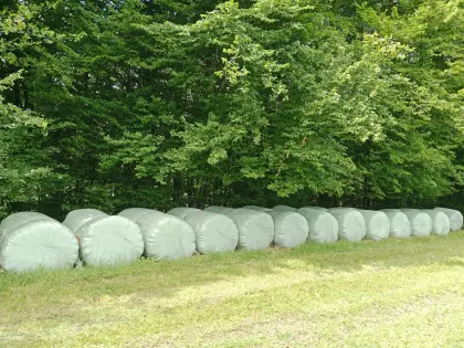 Siloballen