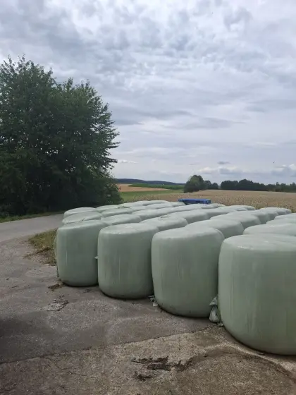 Maisballen