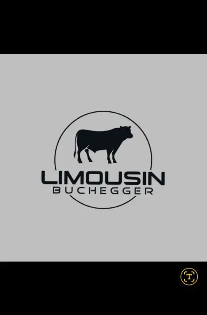 Limousinstiere