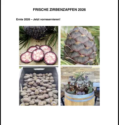 Zirbenzapfen ganz frisch