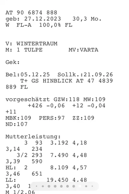 Bio-Zuchtkalbin