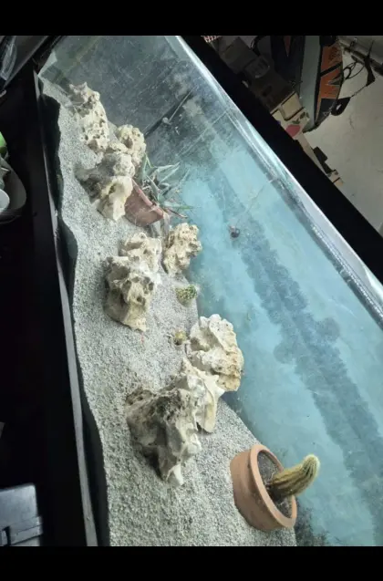Aquarium