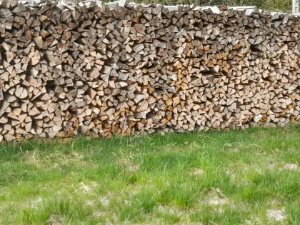 Brennholz hart