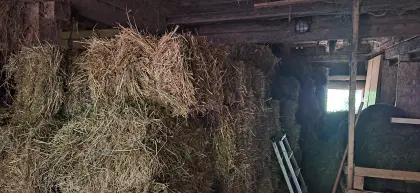 Kleinballen zu verkaufen