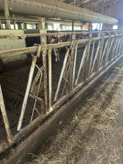 Aufstallung De Laval