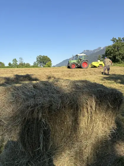 Heuballen