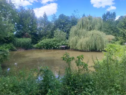 Vermiete 2 große Teiche