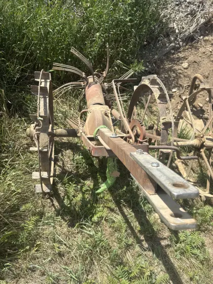 Alter pferdegezogener Sternrad-Heuwender, Oldtimer
