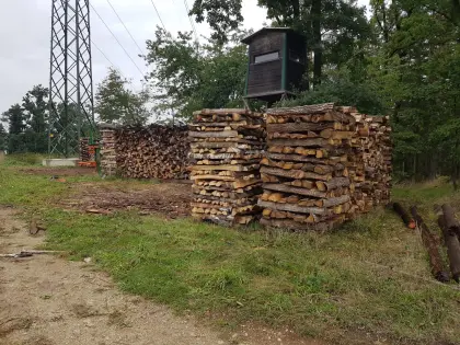 Buchenbrennholz