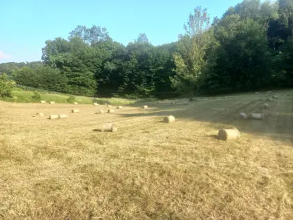 Komplette Heuernte mit Kleinrundballen, Raum Dietersdorf