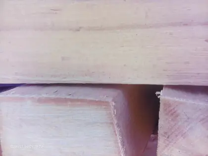 Brennholz hart oder weich