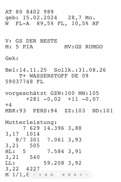 Bio-Zuchtkalbin