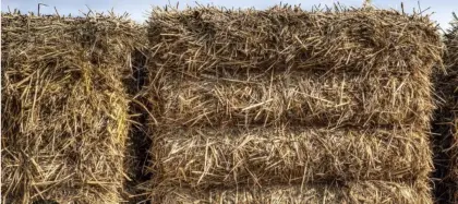 Bio-Stroh auf Vorbestellung zu verkaufen