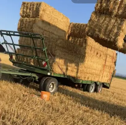 3-Achs-Tieflader, Ballenwagen, Plateauwagen
