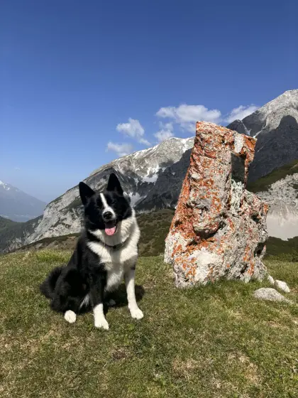 Tiroler Bergspitz gesucht!
