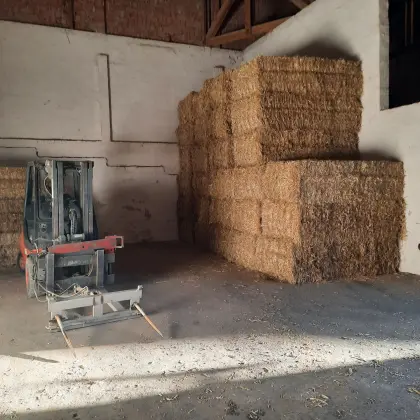 Futterstroh, geschnitten oder lang