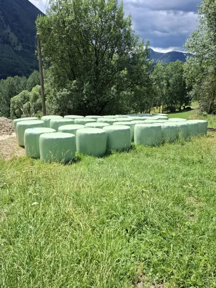 Siloballen, Silageballen, erster Schnitt 2026