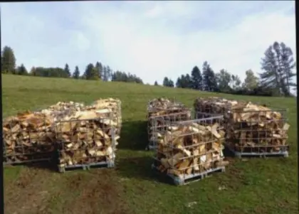 Brennholz trocken, ofenfertig