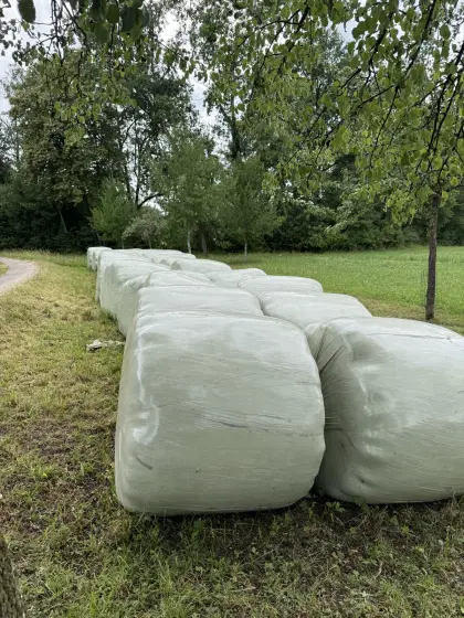 Silageballen