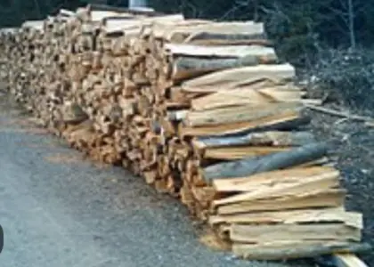 Brennholz weich