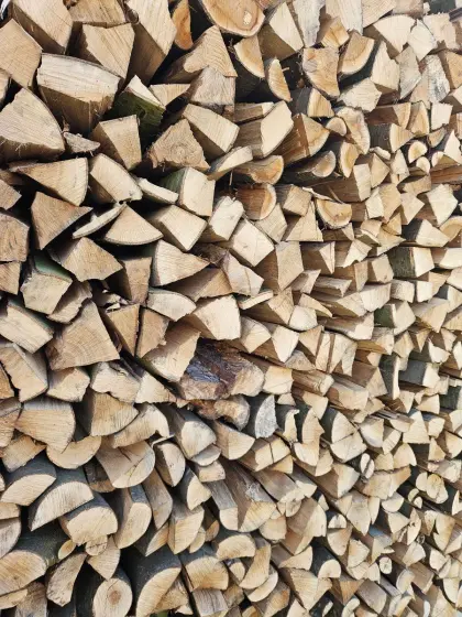 Brennholz Eiche, Brennholz Weich