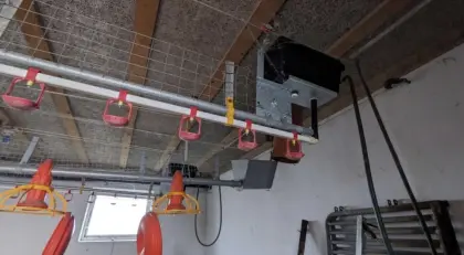 Hühner, Fütterung, Aufstallung, Wassertränke, Legehühner