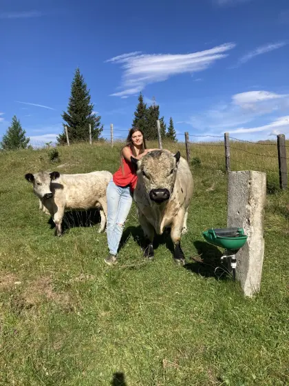 Bio-Galloway-Stier