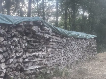 Trockenes Fichten-Brennholz (Weichholz), Selbstabholung