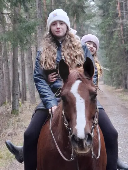 Quarter Horse Stute