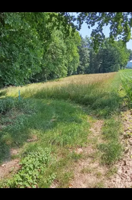 Heu in Kleinballen