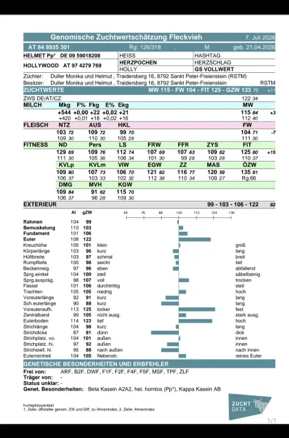 Genotypisiertes Bio-Stierkalb