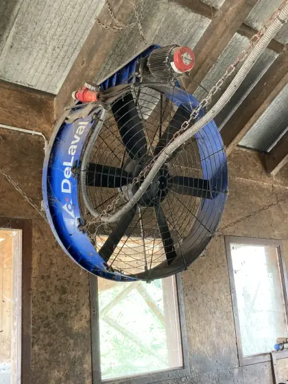 Kuhbürste, Ventilator und Futterraufe