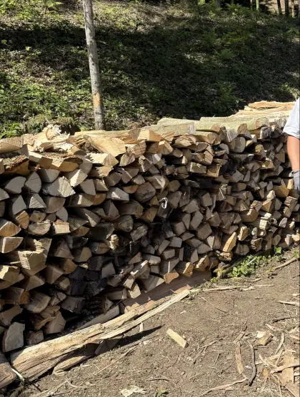 Brennholz, Scheiterholz