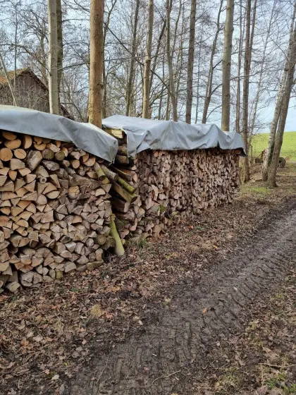 Brennholz