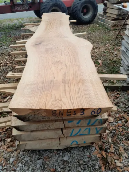 Diverse Tischplatten Esche, Eiche