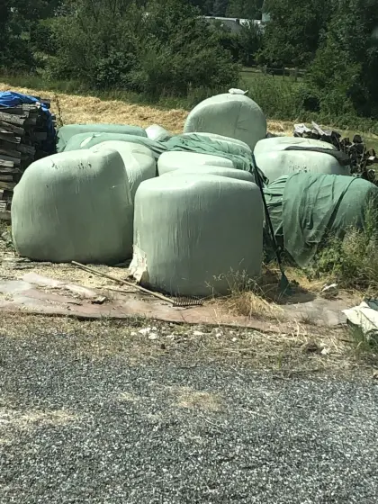 Maisballen