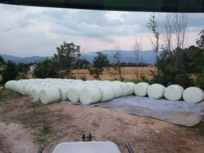 Silomaisballen 1.000 kg