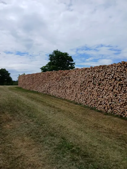 Brennholz auf Ofenlänge