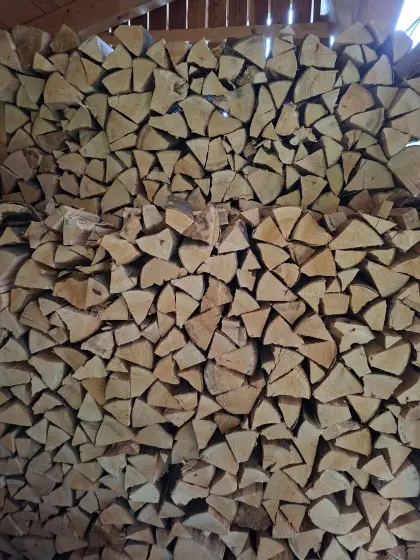 Brennholz Buche