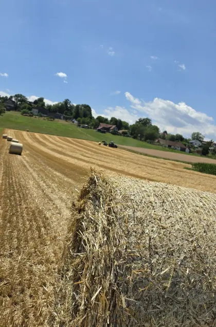 Haferstroh-Rundballen 2026 Futterqualität