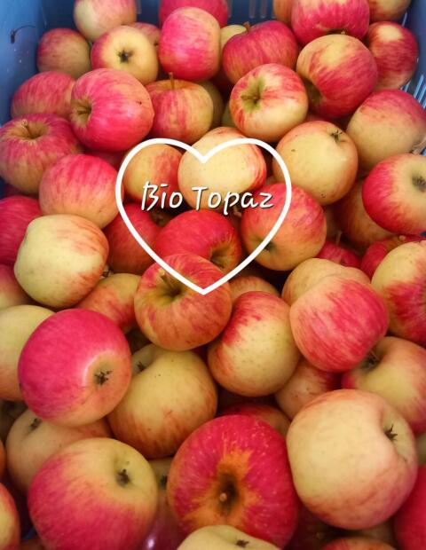Bio Topaz Äpfel auch für Wiederverkäufer