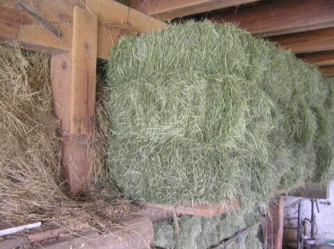 Kleinballen Grummet