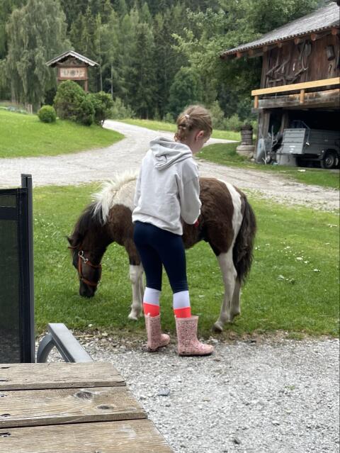 Shetlandpony-Fohlen Fridolin Kinderpony
