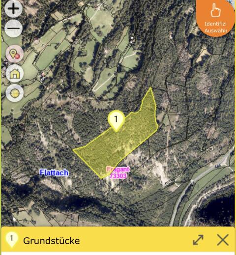Waldgrundstück 5,8 ha