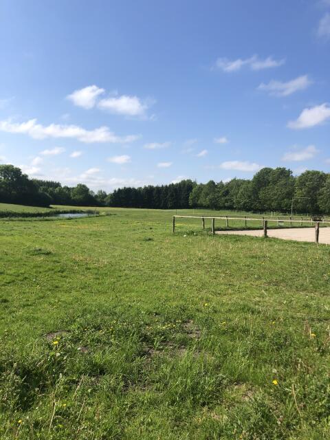Stellplatz Pferd, Pony