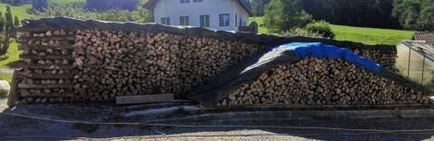 Brennholz Buche