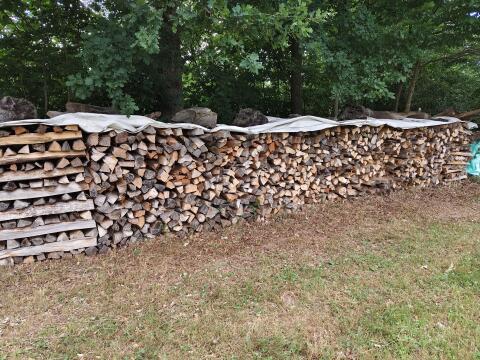 Brennholz