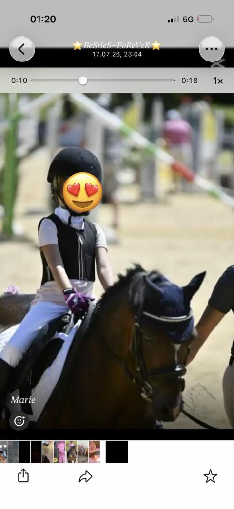 Verkaufe super liebes Welshpony